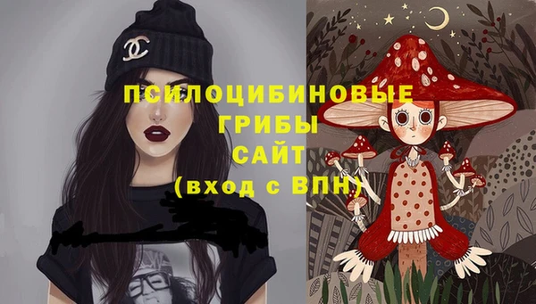 apvp Пересвет