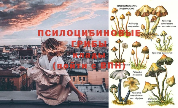 apvp Пересвет