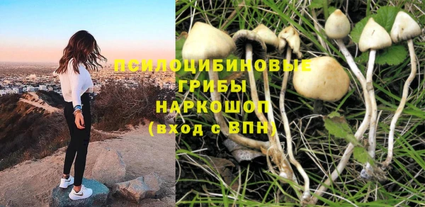 герыч Пестово