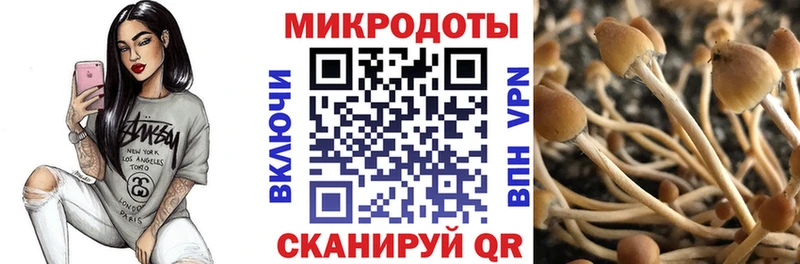 наркотики  Костерёво  Галлюциногенные грибы MAGIC MUSHROOMS 